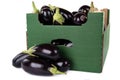 Box of fresh aubergines ready to sale isolated on white background Royalty Free Stock Photo