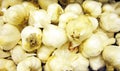 Box of fresh garlic