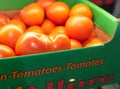 Fresh Tomatoes boxed for delivery