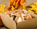 Box of fresh Portobella mushrooms with fall leaves Royalty Free Stock Photo