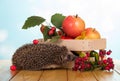 Box with fruits and vegetables and funny gray hedgehog on wooden table