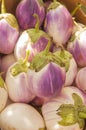 A box full of beautiful white and purple Bianca eggplants Royalty Free Stock Photo