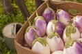 A box full of beautiful white and purple Bianca eggplants