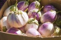 A box full of beautiful white and purple Bianca eggplants