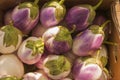 A box full of beautiful white and purple Bianca eggplants Royalty Free Stock Photo