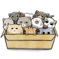 Box full of cats cramped together Royalty Free Stock Photo