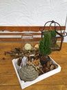 Box full of dried pine cone, mushroom, Autumn leaves, barks to d