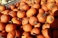 Box full of small pumpkins Royalty Free Stock Photo