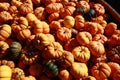 Box full of small pumpkins Royalty Free Stock Photo