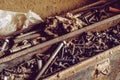 Box full of old screws and nuts in different conditions. Royalty Free Stock Photo