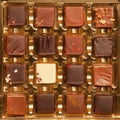 Box of Handmade Luxury Chocolates Royalty Free Stock Photo