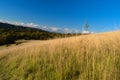 Box Hill, Surrey