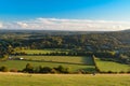 Box Hill, Surrey