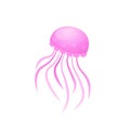 Box Jellyfish icon