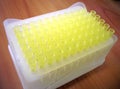 Box with lab pipette plastic tips