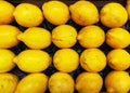 Background with lemons Royalty Free Stock Photo
