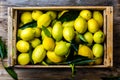 Box of lemons with fresh leaves on wooden background with copy space. Top view Royalty Free Stock Photo