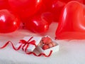 Box with macaron cookies and red baloons on the bed Royalty Free Stock Photo