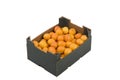 Box of Mandarins