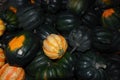 Box of mini pumpkins Royalty Free Stock Photo