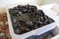A box of mussels Royalty Free Stock Photo
