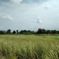 Box nature machine transportation forest streetphoto randomgallery natural sky green sea ocean bluesky Royalty Free Stock Photo