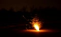 Box with night explosion full of explosive pyrotechnics. white orange fireball in the shape of a white bush with lots of hot shard Royalty Free Stock Photo