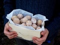 Box of oat donuts with cinnamon and powdered sugar. Street food. Round fritter