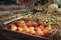 Box of Red Apples in Fruit and Veg Display Royalty Free Stock Photo