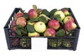 The box of red and green apples Royalty Free Stock Photo