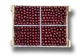 box of ripe maroon cherries isolated on a white background Royalty Free Stock Photo