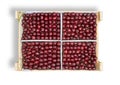 box of ripe maroon cherries isolated on a white background Royalty Free Stock Photo