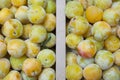 Yellow shiro plums Royalty Free Stock Photo