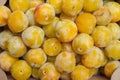 Yellow shiro plums Royalty Free Stock Photo