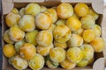 Yellow shiro plums Royalty Free Stock Photo