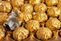 Box of round candies wrapped into golden foil. Royalty Free Stock Photo