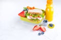 Box with school lunch and a bottle of juice. Sandwich with cheese and salad, fresh berries for baby food. Light background and
