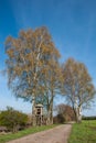 Box stand at a birch Royalty Free Stock Photo