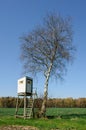 Box stand at a birch Royalty Free Stock Photo