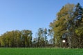 Box stand at the edge of the forest Royalty Free Stock Photo