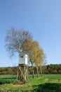 Box stand at a row of birches Royalty Free Stock Photo