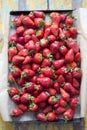 Box tray of fresh strawberries Royalty Free Stock Photo