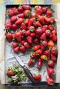 Box tray of fresh strawberries Royalty Free Stock Photo