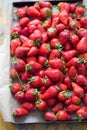 Box tray of fresh strawberries Royalty Free Stock Photo