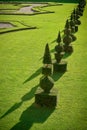 Box trees in a public baroque landscape park in Germany Royalty Free Stock Photo