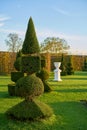 Box trees in a public baroque landscape park in Germany Royalty Free Stock Photo