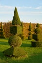 Box trees in a public baroque landscape park in Germany Royalty Free Stock Photo