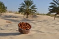 Box of Tunisian dates on desert sand with palm trees in background Royalty Free Stock Photo