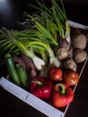 Box of a variety of organic vegetables