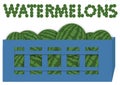 Box of watermelons